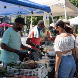 vendor